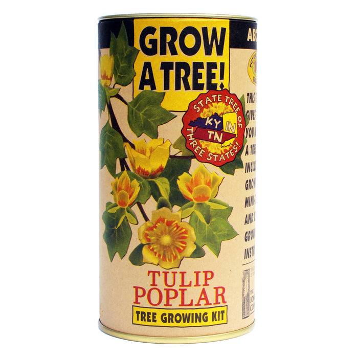 Tulip Poplar Tree Growing Kit