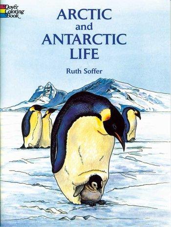 Arctic and Antarctic Life C.B.