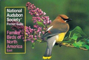 Audubon Birds Pocket Guide-E