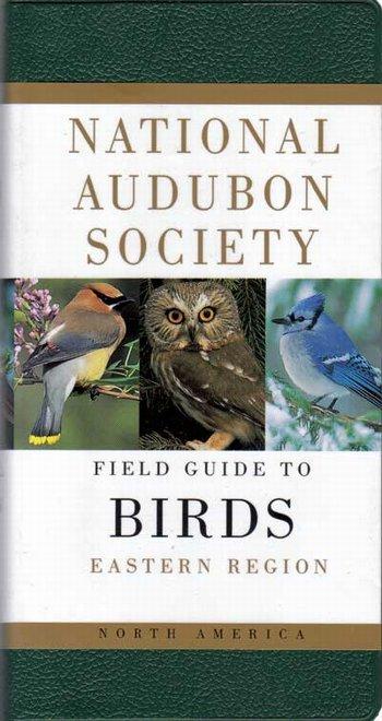 Audubon Birds-Eastern
