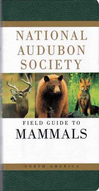 Audubon Mammals