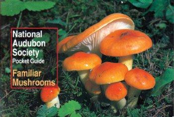 Audubon Mushrooms Pocket Guide