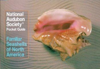 Audubon Seashells Pocket Guide