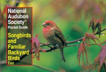 Audubon Songbirds Pocket Guide