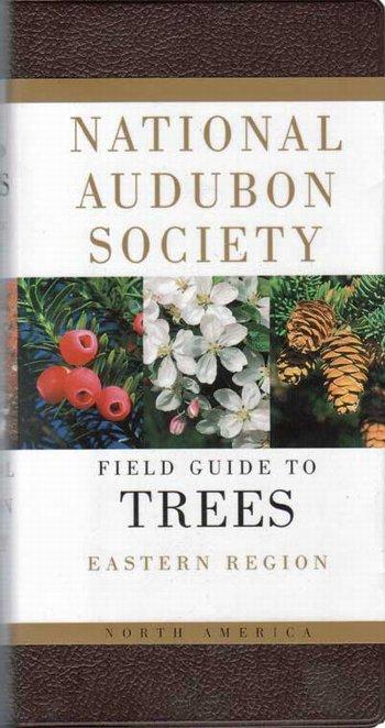 Audubon Trees-Eastern