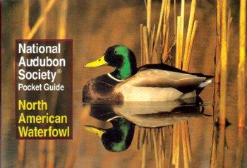 Audubon Waterfowl Pocket Guide