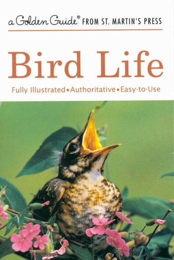 Bird Life little g.g.