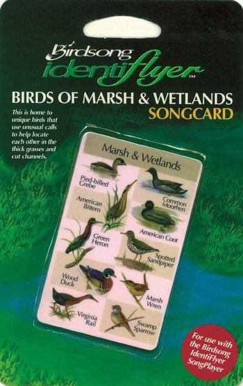 Marsh and Wetlands SongCard