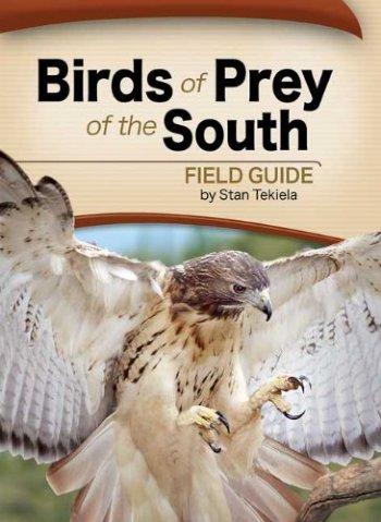 Birds of Prey of the South