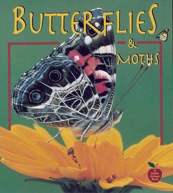 Butterflies and Moths