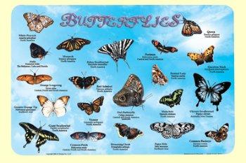 Butterflies - mat