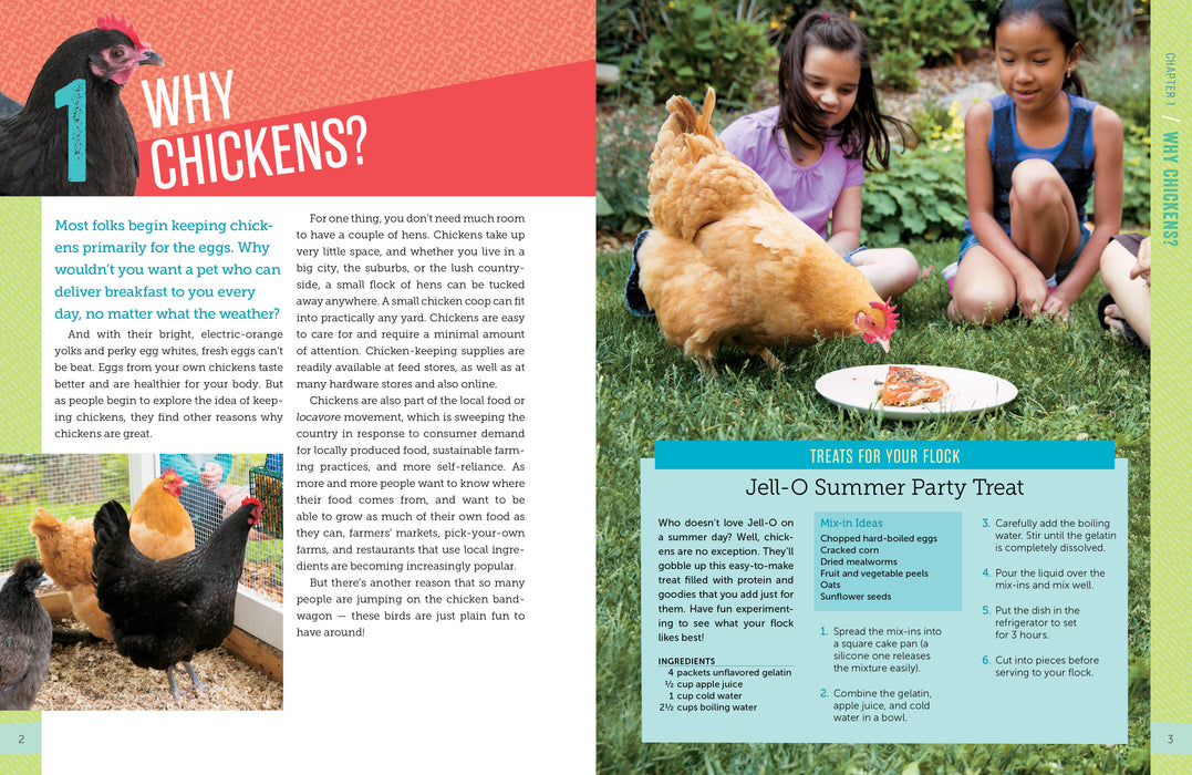 A Kids Guide - Chickens