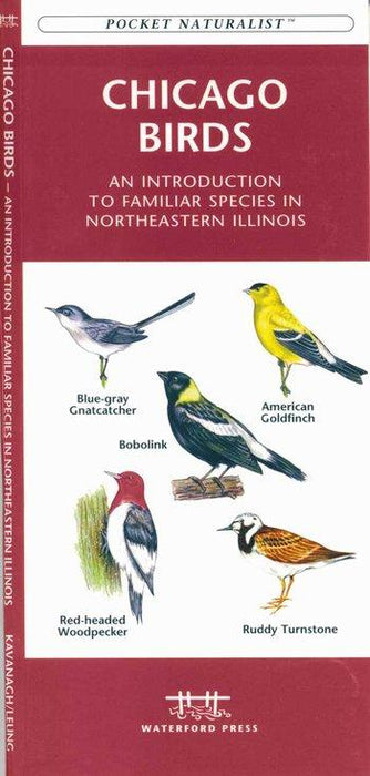 Chicago Birds - Pocket Nat.