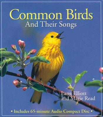 Common Birds and Their Songs