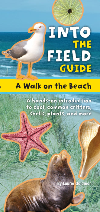 Into The Field Guide Beach Walk