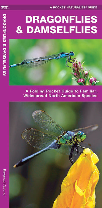 Dragonflies & Damselflies Pocket Nat