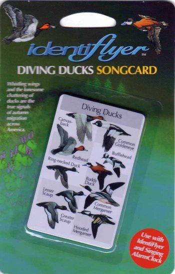 Diving Ducks Songcard