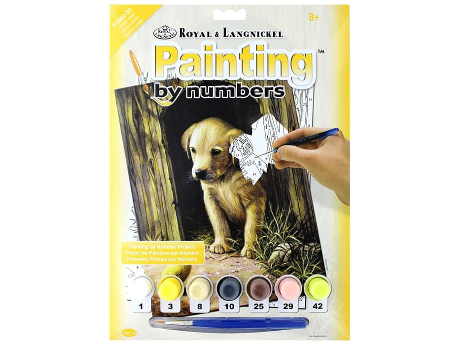 Labrador Puppy -Painting by numbers