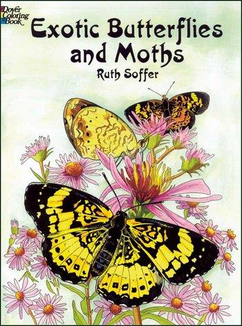 Exotic Butterflies & Moths C.B