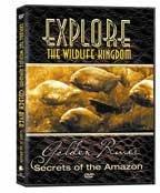 Explore DVD - Golden River