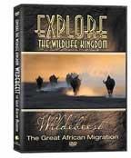 Explore DVD - Wildebeest
