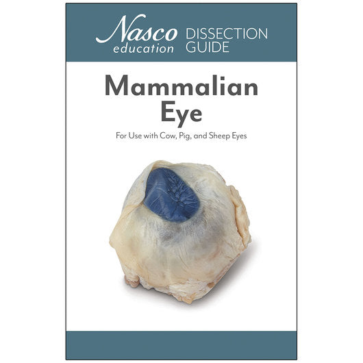 Mammalian Eye Dissection Guide
