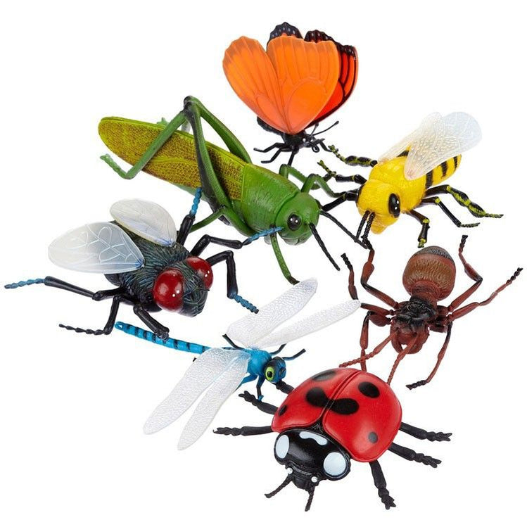 Jumbo Insects - Realistic insect models for hands-on learning. — Nature ...
