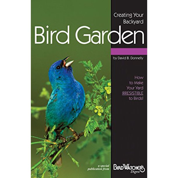 Create Your Own BY Bird Garden