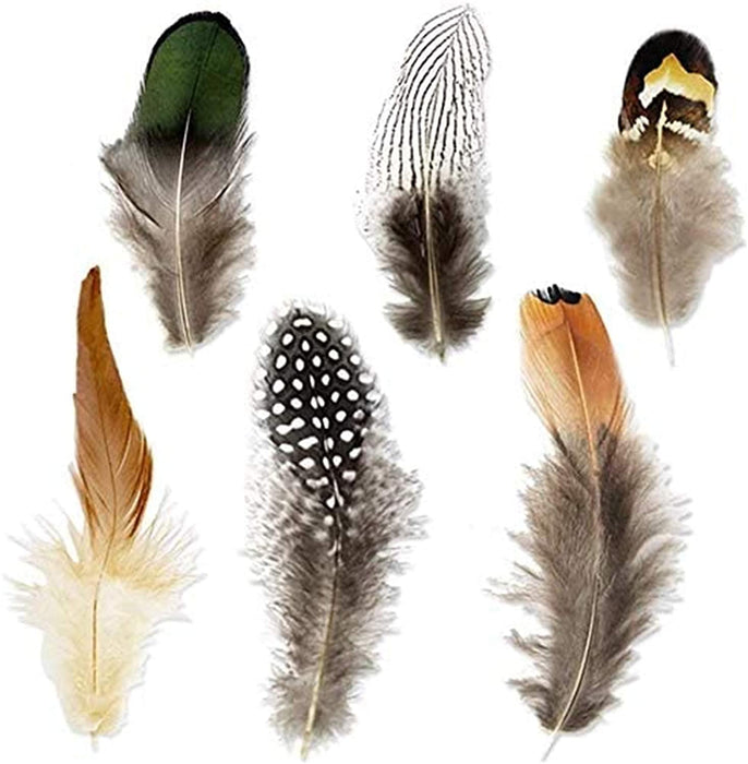 Feathers - Pk. of 2