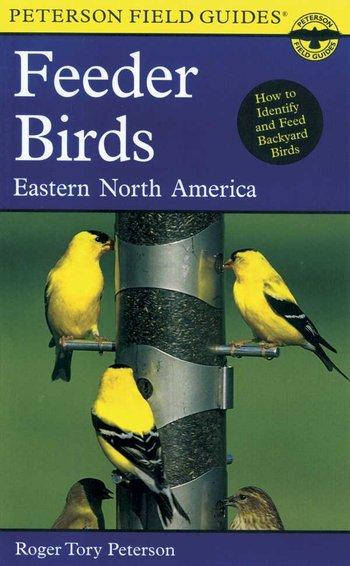 Feeder Birds - Eastern N.A.