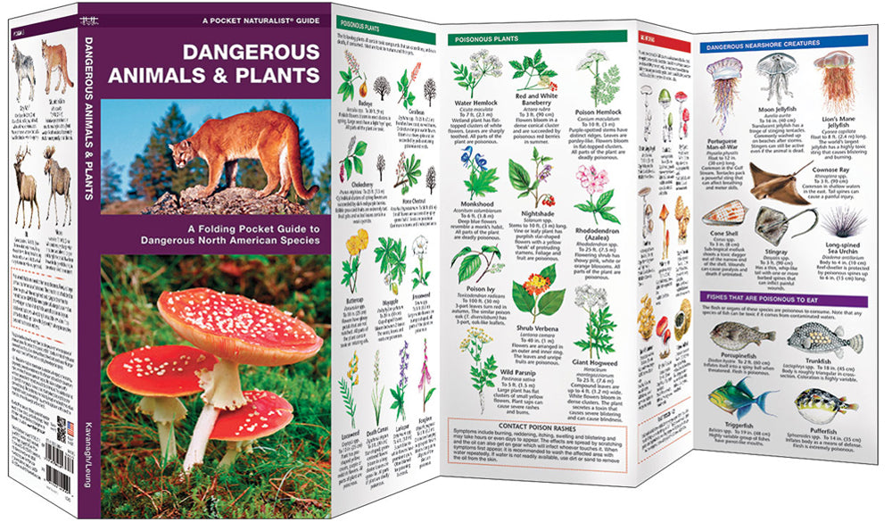 Dangerous Animals & Plants- Pkt Nat