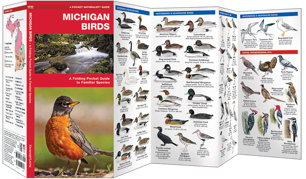 Michigan Birds- Pkt Nat