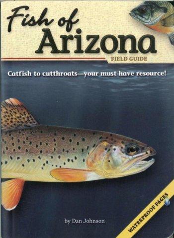 Fish of Arizona — Nature's Workshop Plus