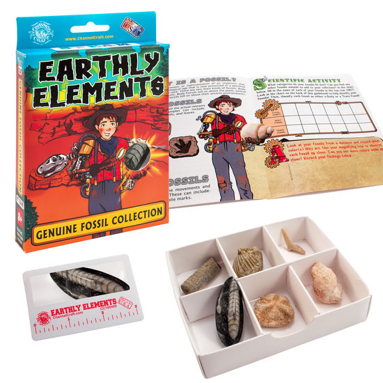 Earthly Elements Fossil Kit