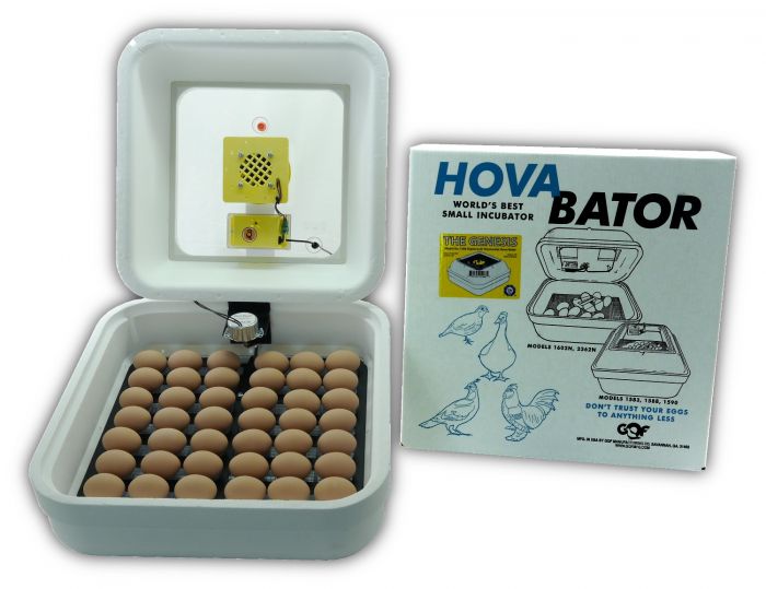 Electronic Hova-Bator #1588