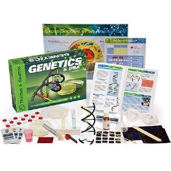 Genetics & DNA -Experiment Kit
