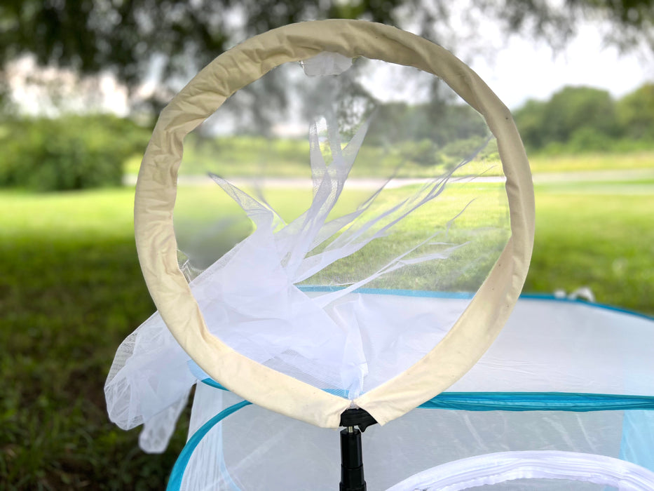 Net For Insect Collect Insect Collecting Kit — Nature's Workshop Plus