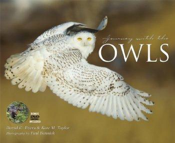 Journey With The Owls