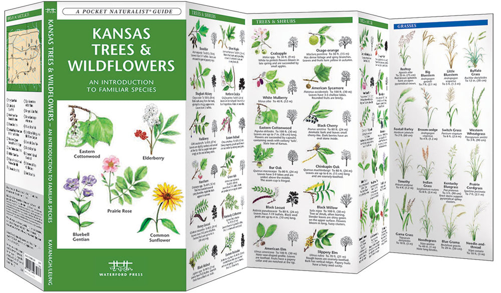 Kansas Trees & Wildflowers - Pkt Nat