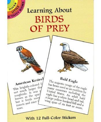 Learning About Birds of Prey