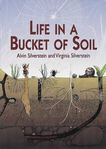 Life In A Bucket of Soil