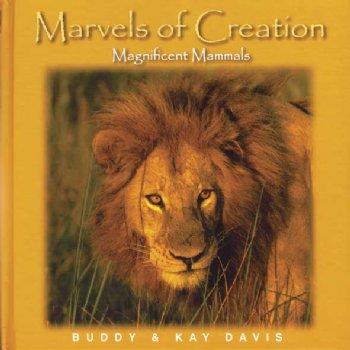 Marvels-Magnificent Mammals