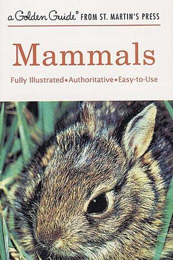 Mammals little g.g.