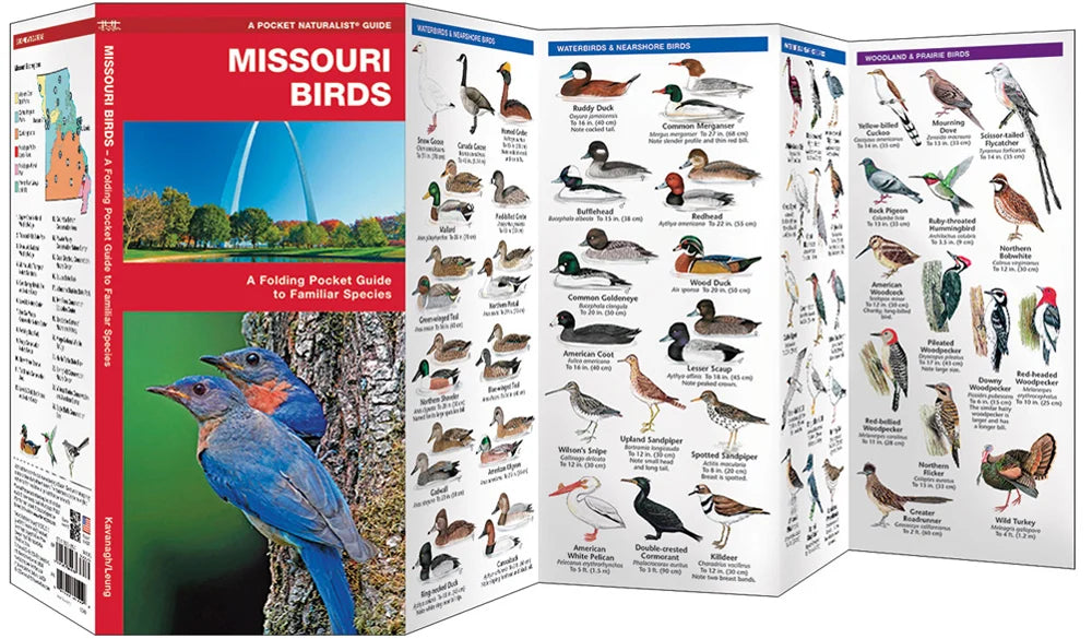 Missouri Birds - Pkt Nat