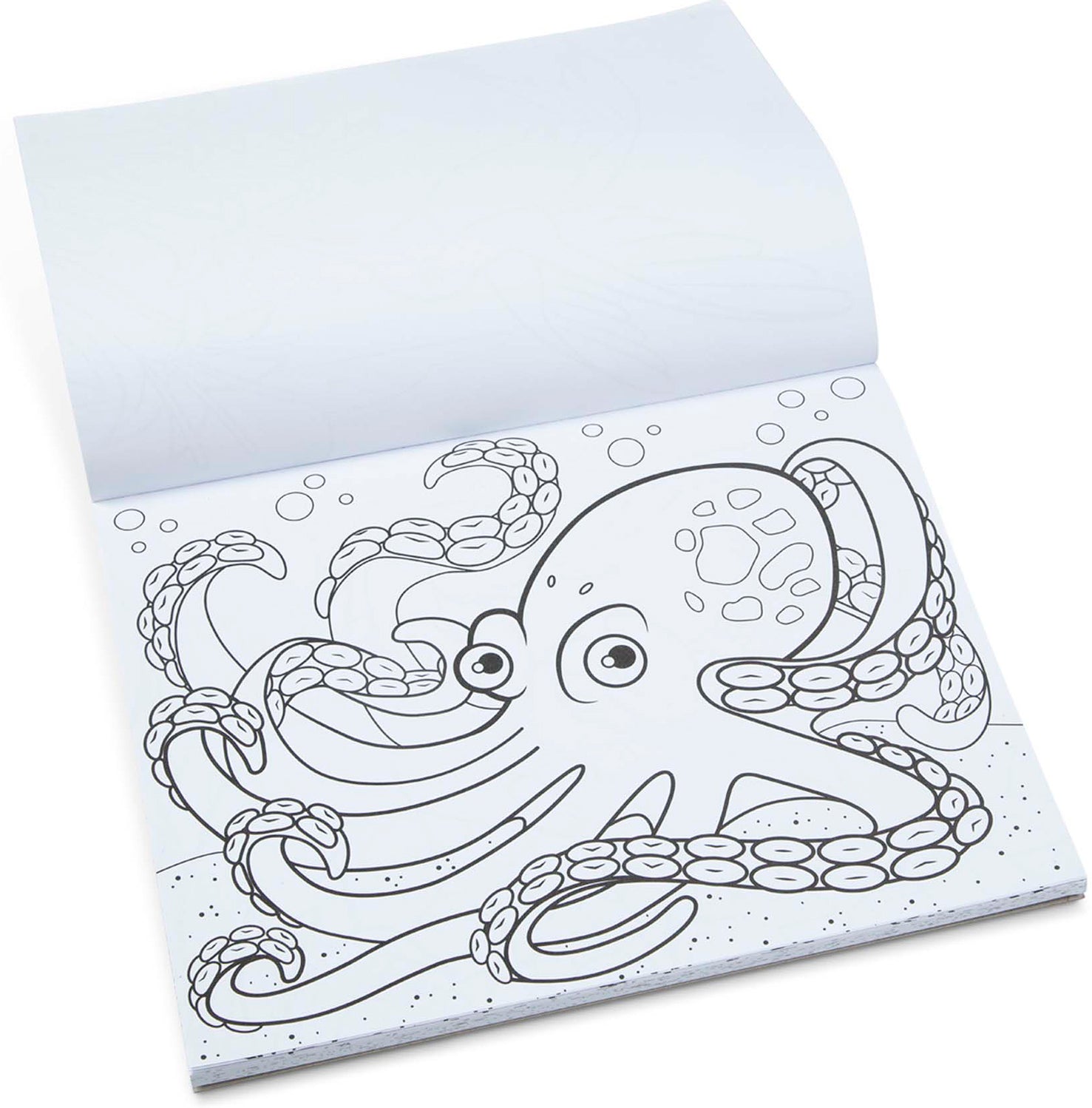 Jumbo Coloring Pad Animals M D — Nature's Workshop Plus