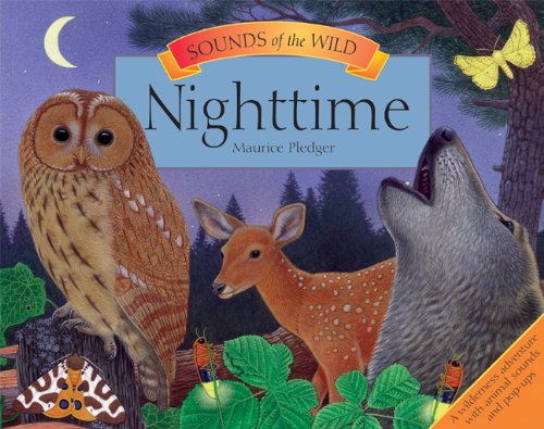 Sounds of Nighttime