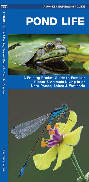 Pond Life - Pocket Naturalist