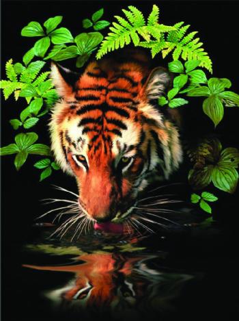 Thirsty Tiger -Painting by numbers