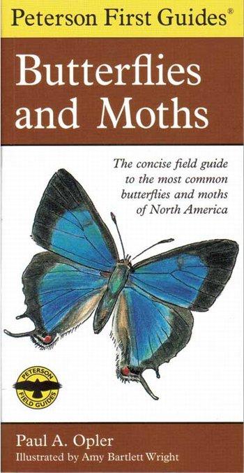 Butterflies & Moths 1st Guide