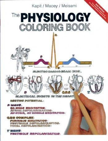 Anatomy & Physiology Coloring Book  Scientific Publishing Anatomy &  Physiology Coloring Book Anatomy & Physiology Coloring Book Anatomy &  Physiology Coloring Book